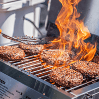Thumbnail for 13742 | Stainless Tabletop Propane Gas Grill