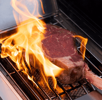 Thumbnail for Eminence 405 | Chic Clearview® Smart Stainless Gas Grill