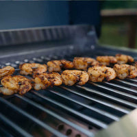 Thumbnail for G22 | Stainless Tabletop Propane Gas Grill