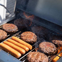 Thumbnail for G22 | Stainless Tabletop Propane Gas Grill